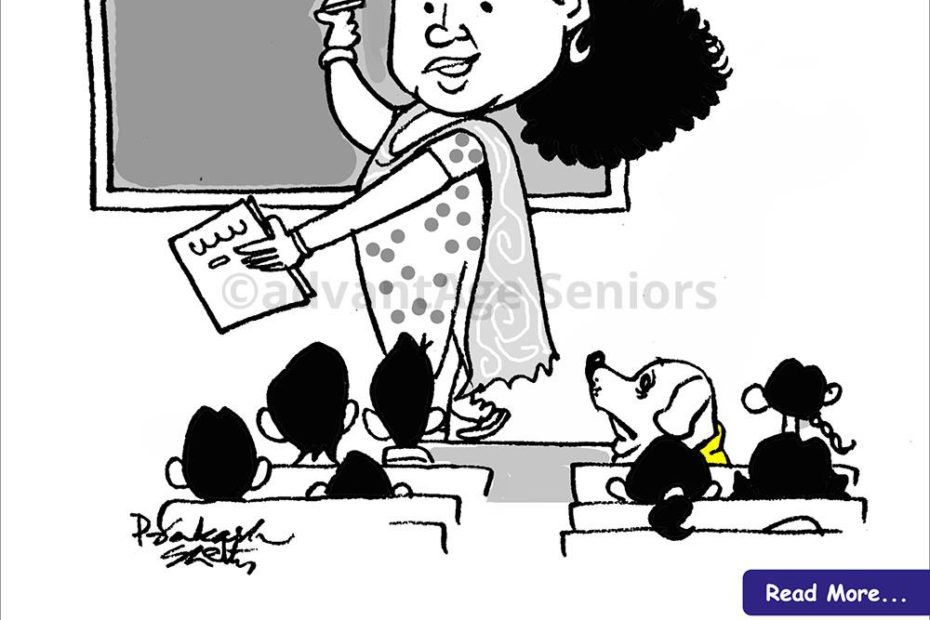 Transitional Care - Elder Care Experts