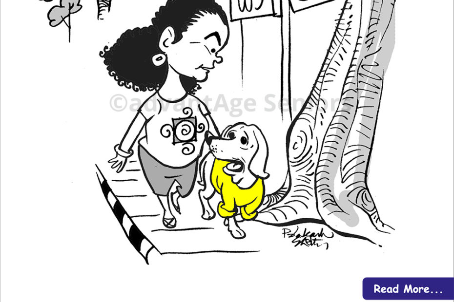 Spouse Loss - Elder Care Experts