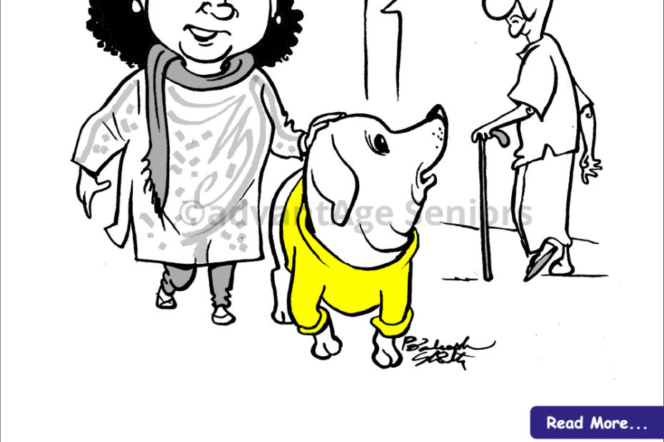 Fall Prevention - Elder Care Experts