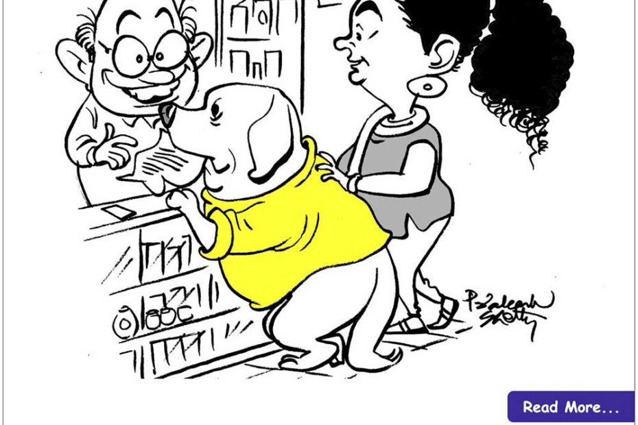 Poly Pharmacy - Elder Care Experts