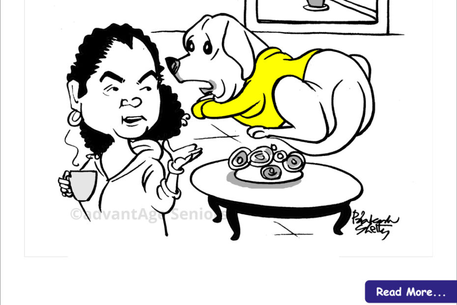 Spousal Care Givers - Elder Care Experts