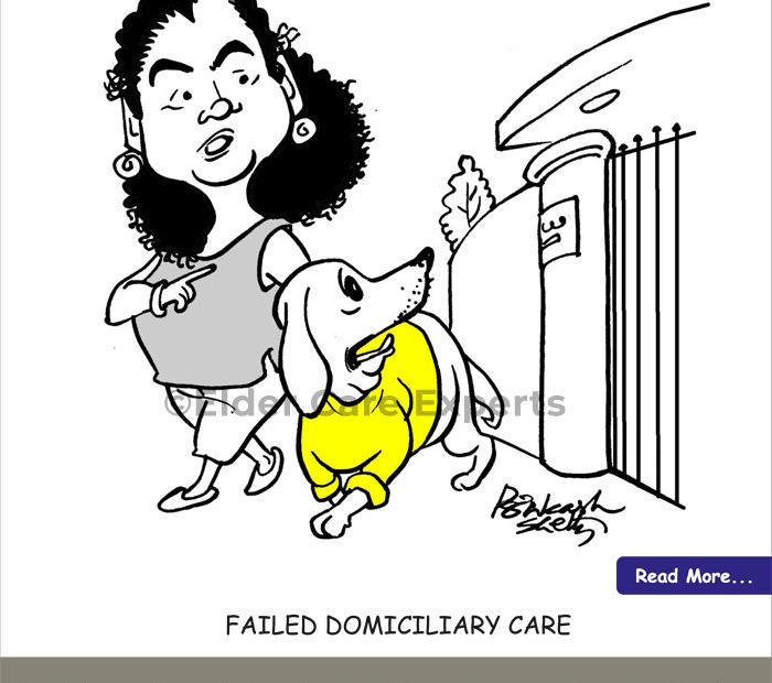 Failed Domiciliary Care - Elder Care Experts